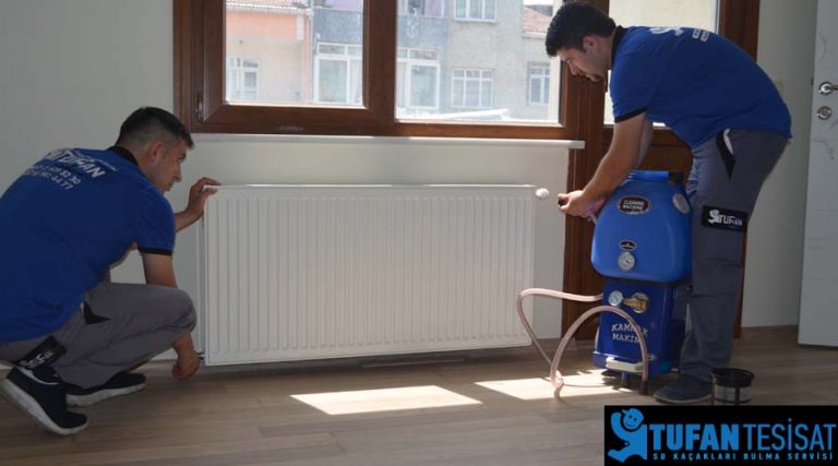 İlaçla Petek Temizliği